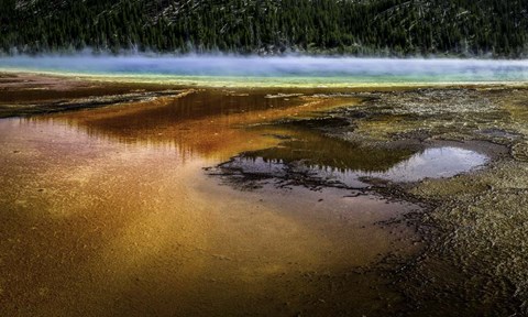 Framed Grand Prismatic Print