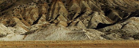 Framed Butch Cassedy Print