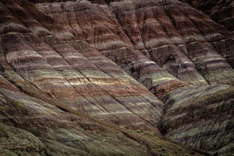 Framed Paria Canyon Print