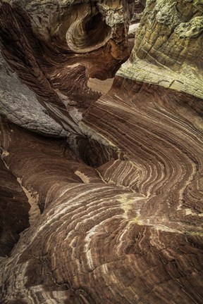 Framed White Pocket 3 Print