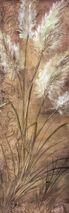 Framed Pampas Print
