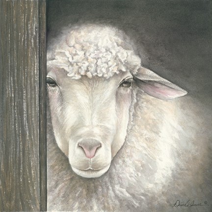 Framed Farm Animal - Sheep Print