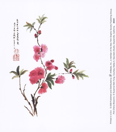 Framed Pink Cherry Blossoms Print