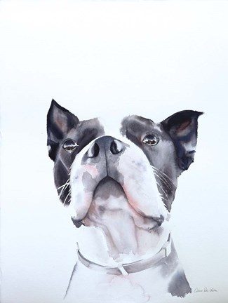 Framed Bird Watching Print