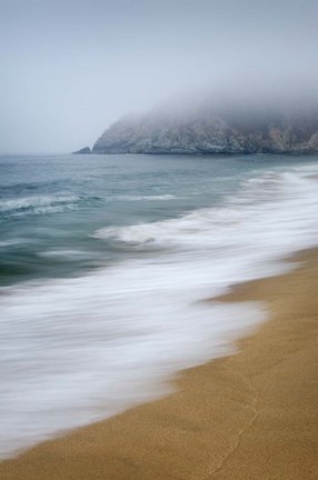 Framed Gray Whale Cove Print