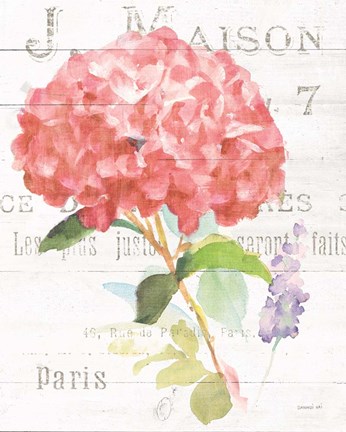 Framed Maison des Fleurs VI Print