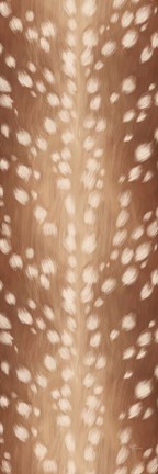 Framed Sweet Fawn III Print