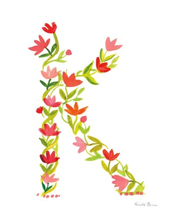 Framed Floral Alphabet Letter XI Print