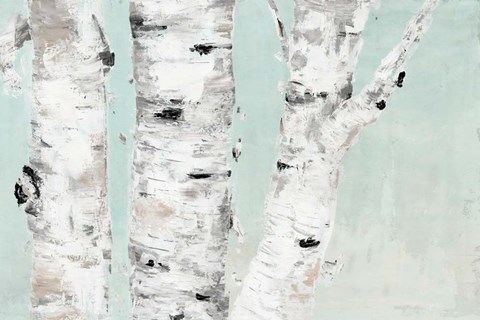 Framed Birch Tree Close Up Print