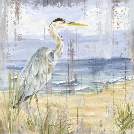 Framed Birds of the Coast Rustic I Print