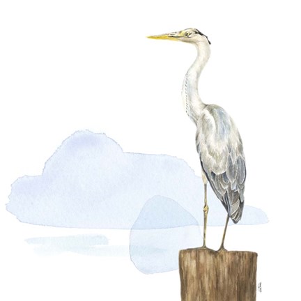 Framed Birds of the Coast on White II Print