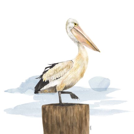 Framed Birds of the Coast on White III Print