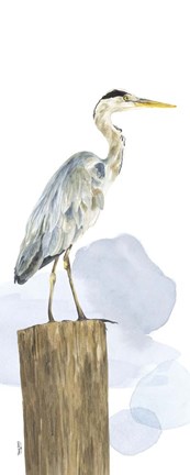 Framed Birds of the Coast Panel I Print