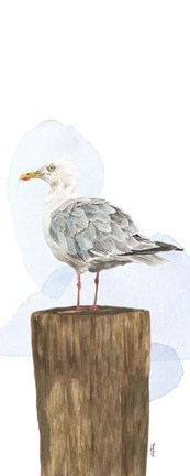 Framed Birds of the Coast Panel IV Print