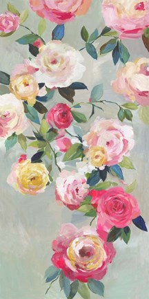 Framed Cascade of Roses III Print