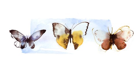 Framed Butterfly Fly Away II Print