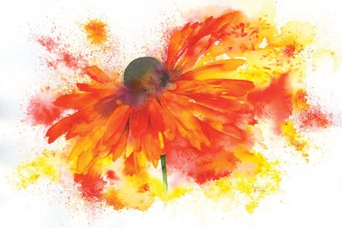 Framed Single Rudbeckia Print