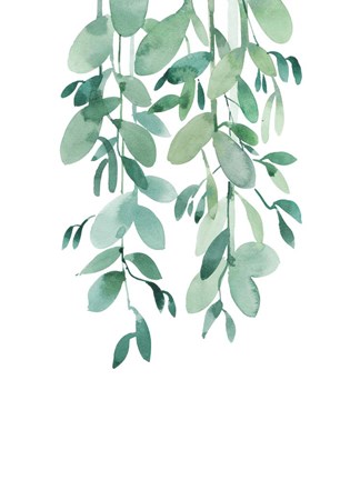 Framed Eucalyptus Print