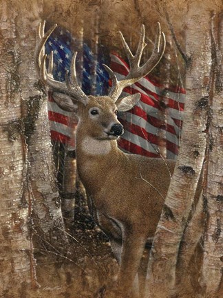 Framed Whitetail Buck America Print