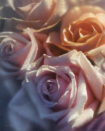 Framed Rose Pedals Print