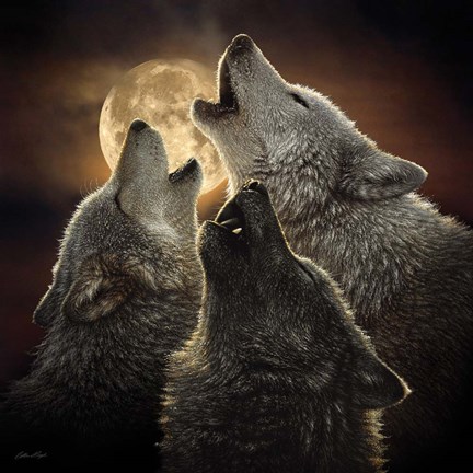 Framed Wolf Trinity Print