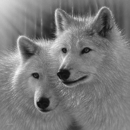 Framed Wolves - Sunlit Soulmates - B&amp;W Print