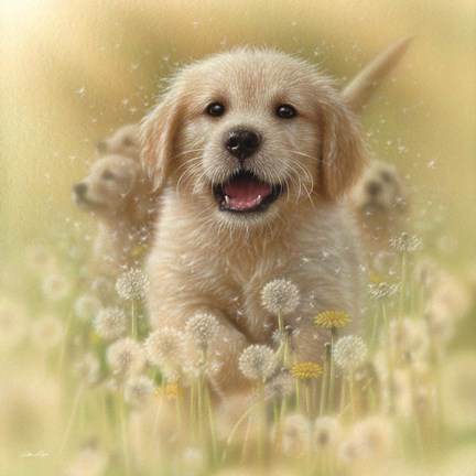 Framed Golden Retriever Puppy - Dandelions - Square Print