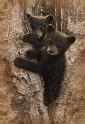 Framed Curious Cubs Print