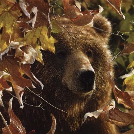 Framed Legend of the Fall Print