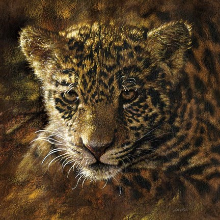 Framed Jaguar Cub on Bark Print