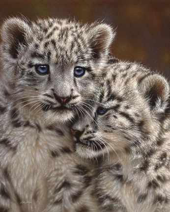 Framed Snow Leopard Cubs - Playmates Print