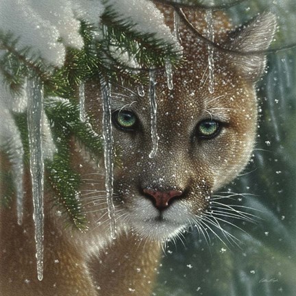 Framed Cougar - Frozen Print