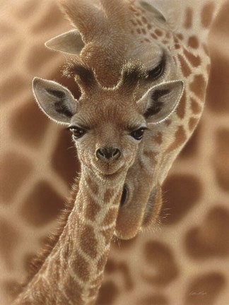 Framed Newborn Giraffe Print