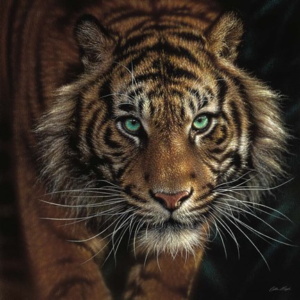 Framed Eye of the Tiger - Square Print