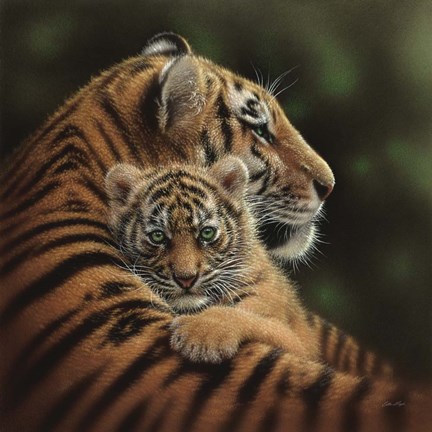 Framed Tiger Mother and Cub - Cherished Print