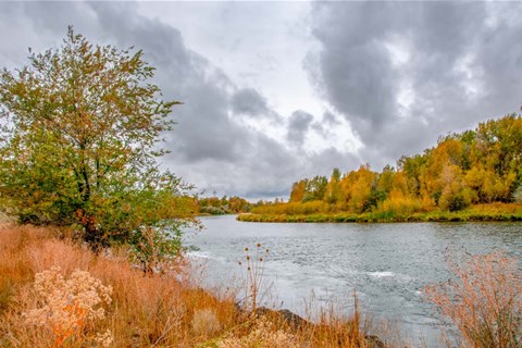 Framed Snake River Autumn I Print