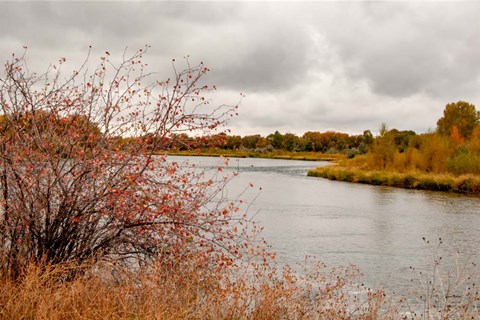 Framed Snake River Autumn II Print
