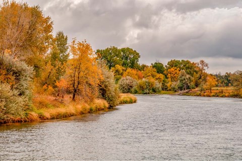 Framed Snake River Autumn III Print