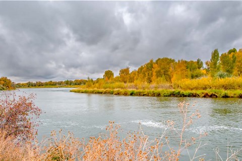 Framed Snake River Autumn VI Print