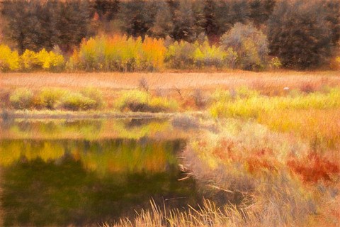 Framed Autumn Pond Print
