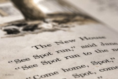 Framed See Spot Run Print