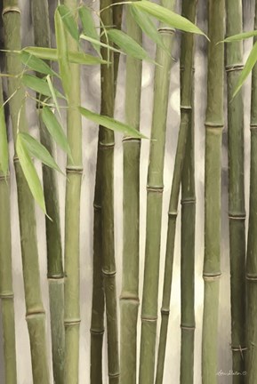 Framed Backlit Bamboo II Print