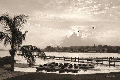 Framed Brewing Storm Print