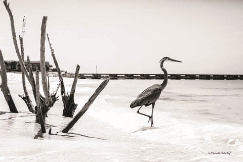 Framed Shore Crane I Print