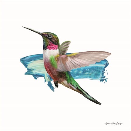 Framed Hummingbird II Print