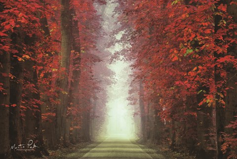 Framed In Love with Red Print