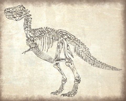 Framed T-Rex Skeleton Print