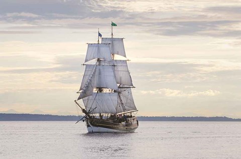 Framed Lady Washington II Print