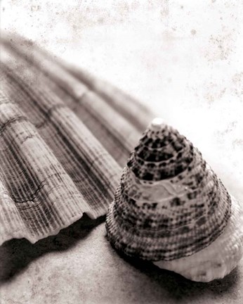 Framed Gifts From the Sea No Border Print