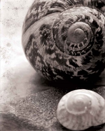 Framed New Discoveries No Border Print